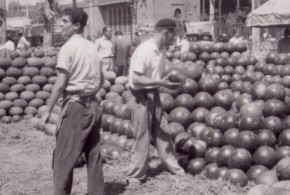 Parada de melons al Mercat del Born
