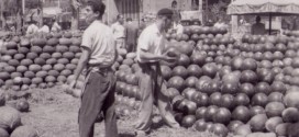 Parada de melons al Mercat del Born