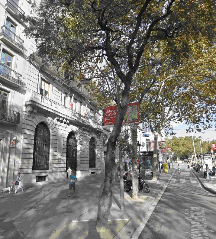 alzina passeig de gràcia